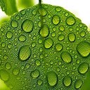  Back To Real Life, , 57  -  6  2012    