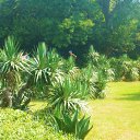 ���� ���������, �����-���������, 37 ��� - ��������� 10 �������� 2010 � ������ ������������ 2010.�