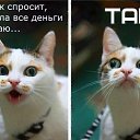   : *http://vkontakte.ru/LiveCards*