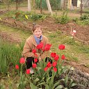 � ������ �� �������