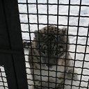 ���� �������, �����-���������, 37 ��� - ��������� 10 ������ 2011 � ������ �������