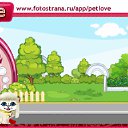  , , 34  -  11  2010   PetLove