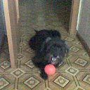 ���� ����, ��������, 64 ���� - ��������� 23 ���� 2012 � ������ ���� ����������