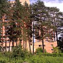 ���� ����������� ���������, ��������, 38 ��� - ��������� 19 ���� 2013 � ������ ������ ��������
