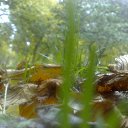 ���� �����, �����������, 41 ��� - ��������� 15 �������� 2011