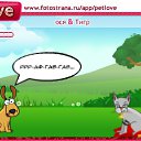  , , 38  -  15  2010   PetLove