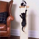 ���� ������, ������������, 40 ��� - ��������� 13 ������� 2009