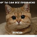 ���� K1ng, ������, 30 ��� - ��������� 26 ����� 2013 � ������ ���� ����������