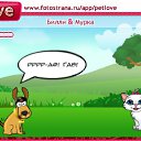  , , 24  -  27  2010   PetLove