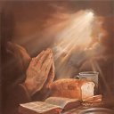 ���� ����, �������� - ��������� 9 ������ 2009 � ������ ���������