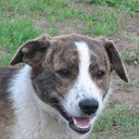 ���� ������, ������ - ��������� 1 ��� 2012 � ������ �������