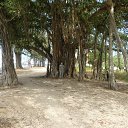 ���� �������, ������, 66 ��� - ��������� 26 ������� 2012 � ������ ��������� 2012�