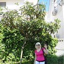 ���� ��������, ������������� - ��������� 3 ���� 2012 � ������ ������ 2012)))�