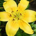 ���� ����� - ���������� ��������!!!, �����������, 56 ��� - ��������� 10 ������ 2010 � ������ ������