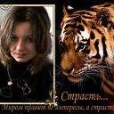 ���� �������, �����-���������, 52 ���� - ��������� 4 ����� 2011 � ������ ���� ����������