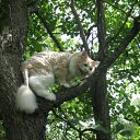 ���� Vytalii, ������ ��������, 59 ��� - ��������� 8 ������� 2011 � ������ �������!�