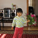 ������ ���� ����� ����� ������