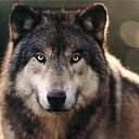 ���� "@����", �����-���������, 25 ��� - ��������� 26 ��� 2010 � ������ �����Ȼ