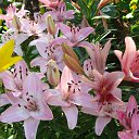 ���� ������, ������, 63 ���� - ��������� 5 ������� 2011 � ������ ������-���� �����-2�