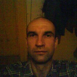 ����, ��������, 54 ����