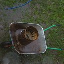 ���� ���, �������� - ��������� 12 ��� 2012 � ������ ������