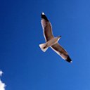 ���� ����, ����������� - ��������� 3 ������ 2012 � ������ �������