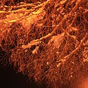 ���� Jouri, ������-��-���� - ��������� 24 ������ 2013 � ������ ��������