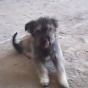 ���� ���, �����-���������, 54 ���� - ��������� 25 �������� 2012 � ������ ���������� ������