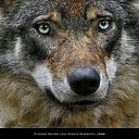 ���� ��������, �����-���������, 29 ��� - ��������� 25 ������ 2012 � ������ ���� ����������