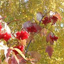 ���� ���, ����������, 37 ��� - ��������� 26 �������� 2010 � ������ ������ 2010 :))�