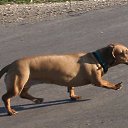 ���� ������, ������, 57 ��� - ��������� 29 ��� 2012 � ������ �������