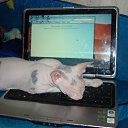 ���� Thumbelina, �����-���������, 52 ���� - ��������� 17 ������ 2011 � ������ �*******�