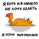 ���� �����, ������ - ��������� 10 ������� 2012 � ������ ���� �������� � �� �� - �����