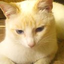 ������ �� ������� ����� ��� ������������