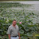 ���� �������, �����������-��-�����, 51 ��� - ��������� 26 ������� 2011 � ������ ���������