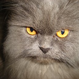  , -, 47  -  15  2012