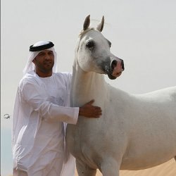 ���� Roma -Yakob, ������, 58 ��� - ��������� 23 ���� 2013