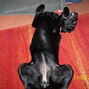 ���� Dimka, ������, 57 ��� - ��������� 11 ����� 2012 � ������ �TIERE�