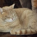 ���� �����, ��������, 40 ��� - ��������� 30 ������ 2011 � ������ �������