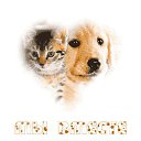 ���� Knoss, ������������, 26 ��� - ��������� 18 ������� 2009 � ������ �������� - �����������