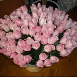 ���� ���������, ������, 56 ��� - ��������� 21 ����� 2012