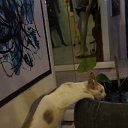 ���� ������, ��������, 48 ��� - ��������� 18 �������� 2011