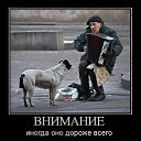 ���� �������, ������ - ��������� 19 ������� 2012 � ������ ���� ����������