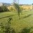 DACHA