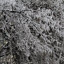 ���� �������, ������ - ��������� 1 ������ 2011 � ������ ��� ����