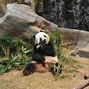 ���� �����, ������, 51 ��� - ��������� 17 ������� 2011 � ������ ���� ����-���� � ����� �������