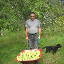 Arkadiy Volkov, ���������, 54 ����