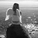  ~_o~, , 62  -  14  2012   