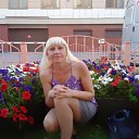���� ����, ������, 44 ���� - ��������� 31 ���� 2012 � ������ ���� ����������