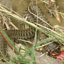 ���� ����, �����, 28 ��� - ��������� 29 ���� 2010